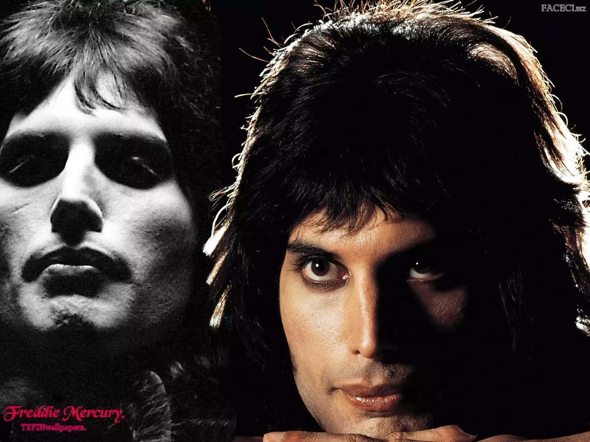 Freddie Mercury, Twarz